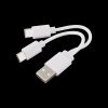 Кабель-перехідник USB A - 2хType-C